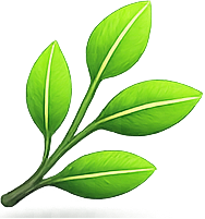 100% Ayurvedic & Natural