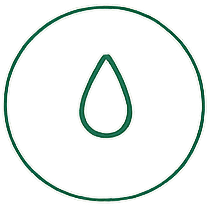Syrups & Elixirs
